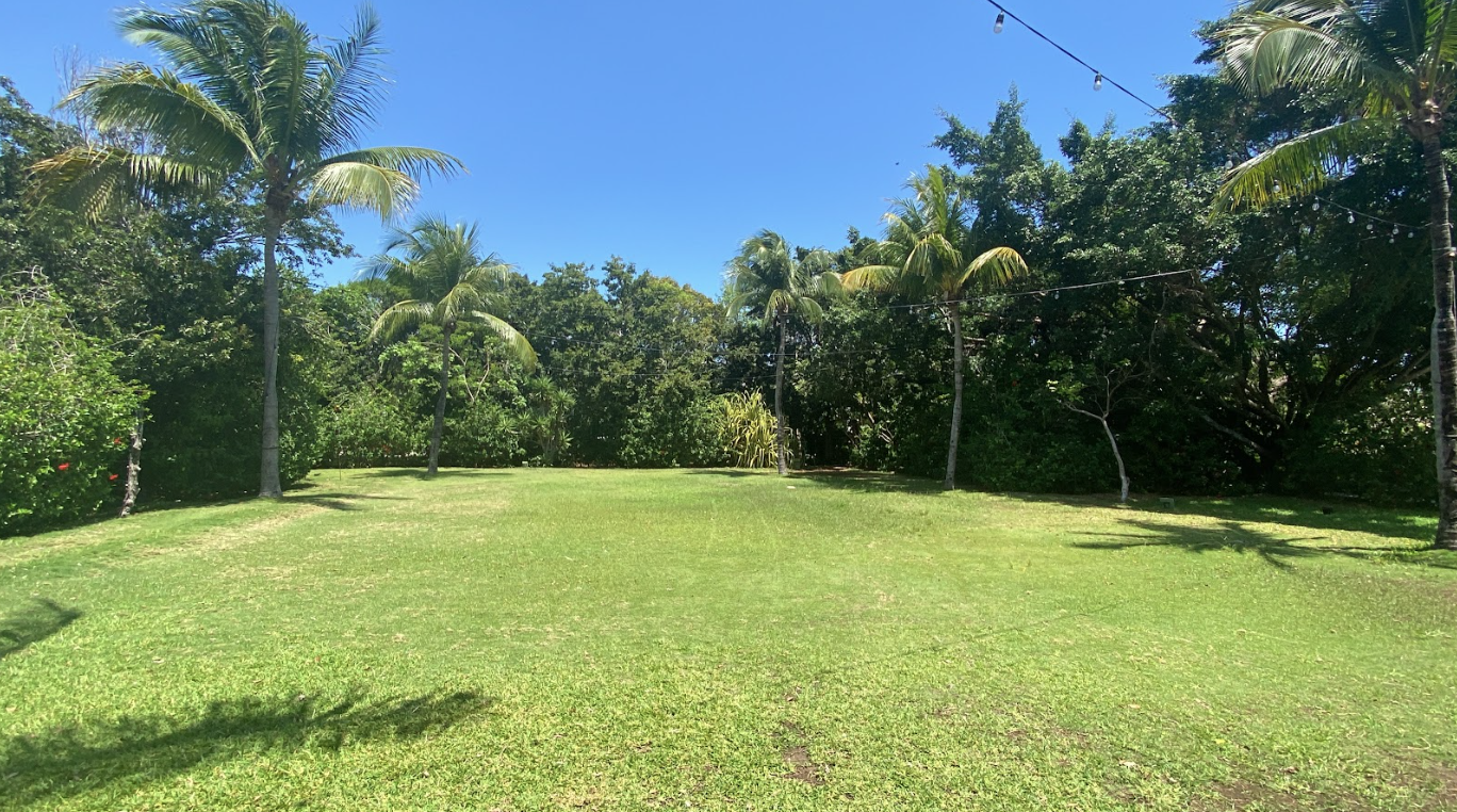 Dreams Garden — Dreams Tulum