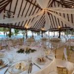 palapa