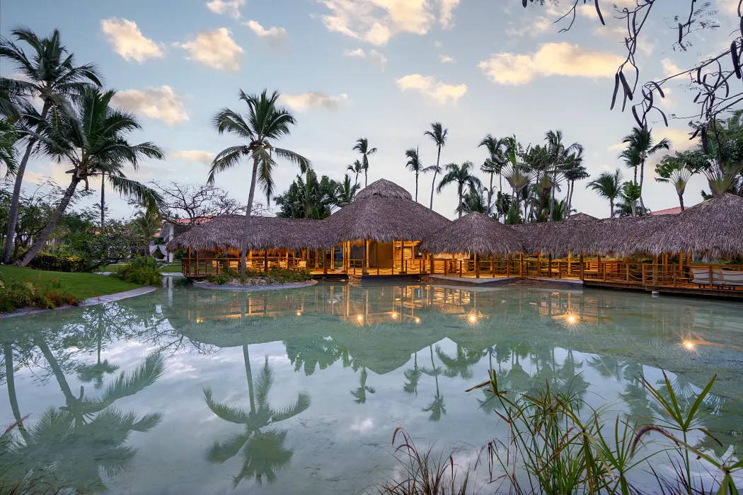 Blue Dorado ceremony — Dreams Flora