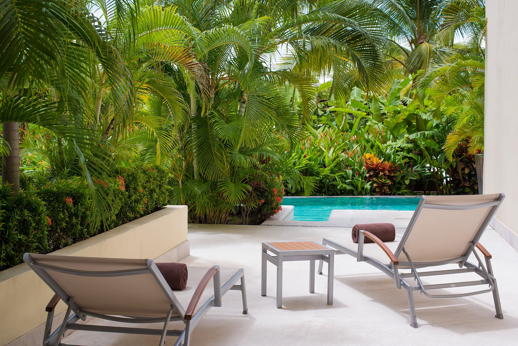 Junior Suite Swim Out pool — Dreams Vallarta Bay