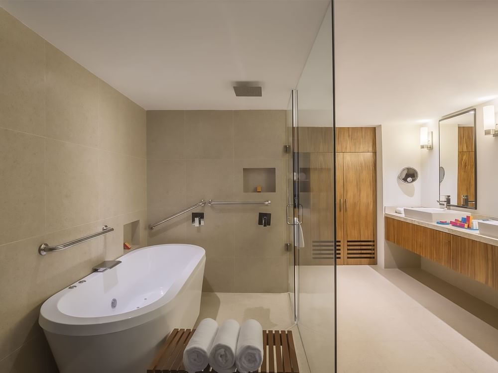 Premium Master Suite bathroom
