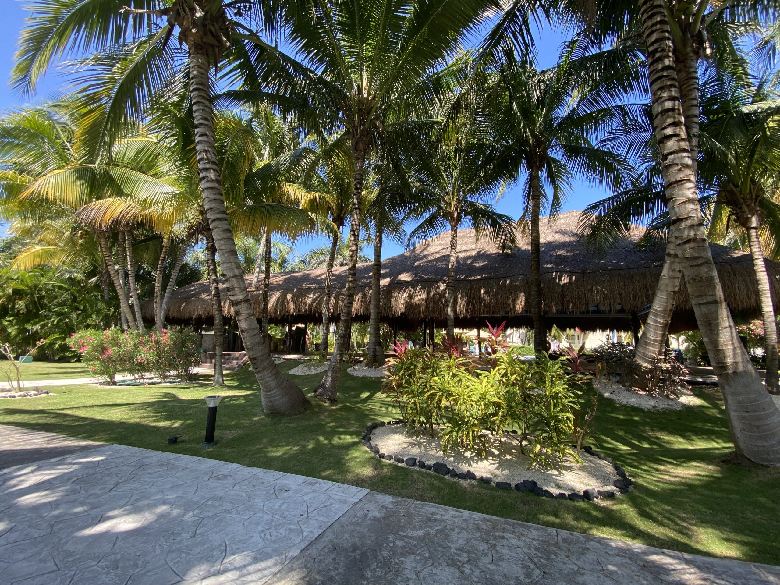 Tucanes Bar Reception — El Dorado Royale