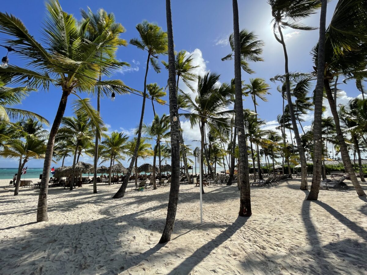 World Cafe Beach Area Dreams Royal Beach