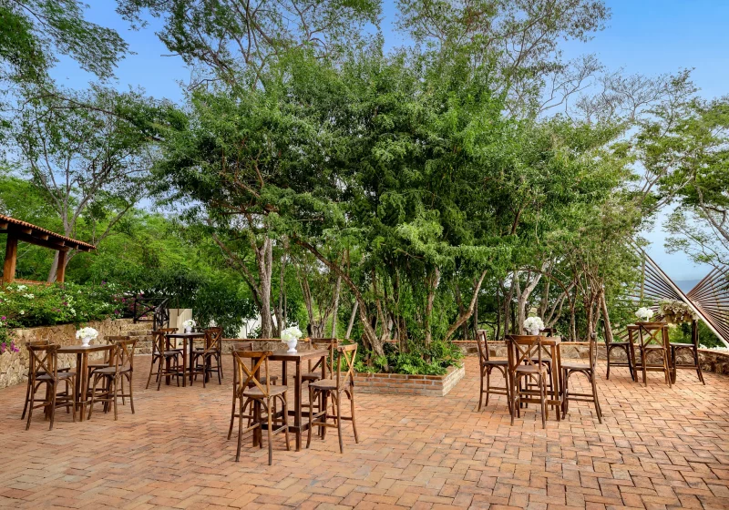 Bahia Mita The Nest