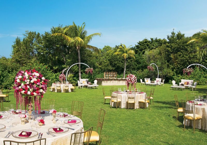 Dreams Garden