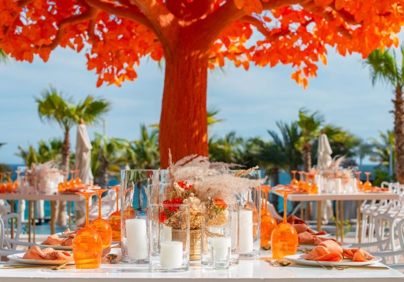 Garza Blanca Los Cabos-Orange-Tree-02(HD)