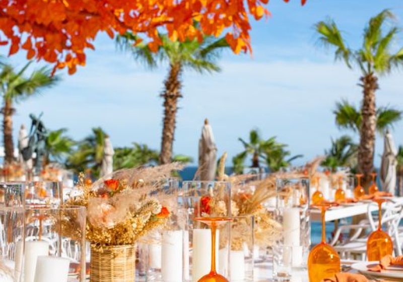 Garza Blanca Los Cabos-Orange-Tree-03(HD)