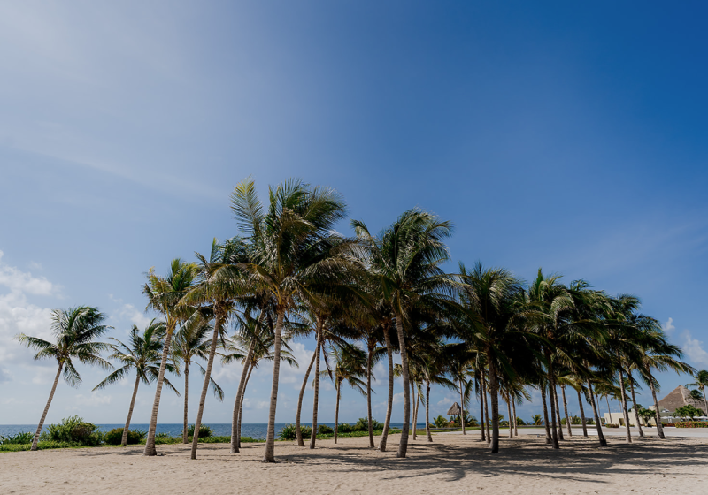 Moon Palace Dunas Beach