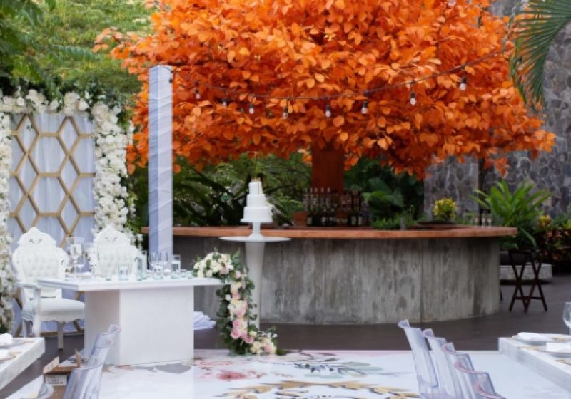 Orange Tree