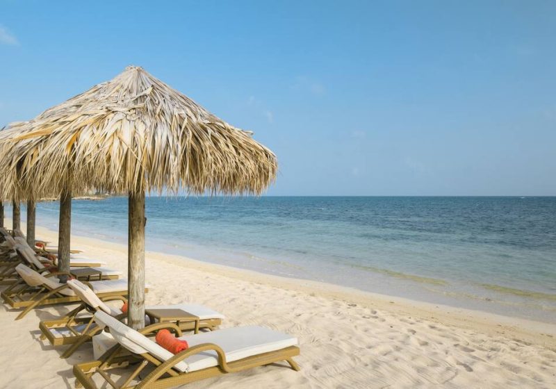 iberostarRose2