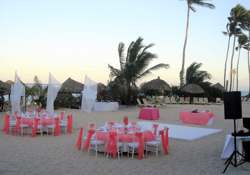 snapedit_1684859378502